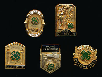 Achievement pins