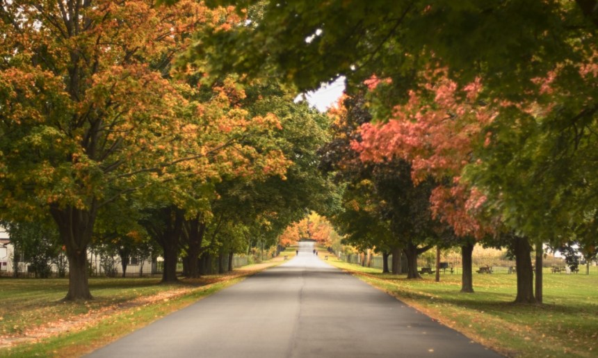 Cemeery Road. Nikon Df camera, Nikkor 50mm f/1.4 lens. Photo by Chuck Miller.