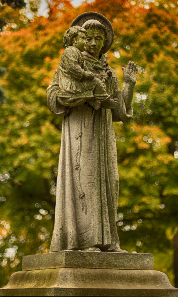 Nikon Df camera, Nikkor 50mm f/1.4 lens.  Photo by Chuck Miller.