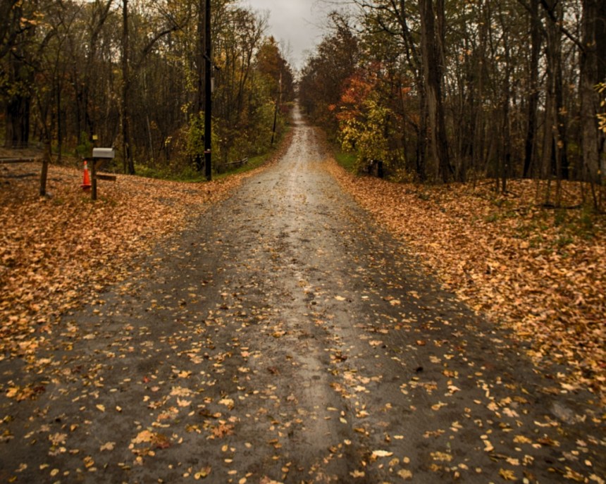 Allen Teator Road in Durham, N.Y. Nikon Df camera, Vivitar 19mm f/3.8 lens. Photo by Chuck Miller.