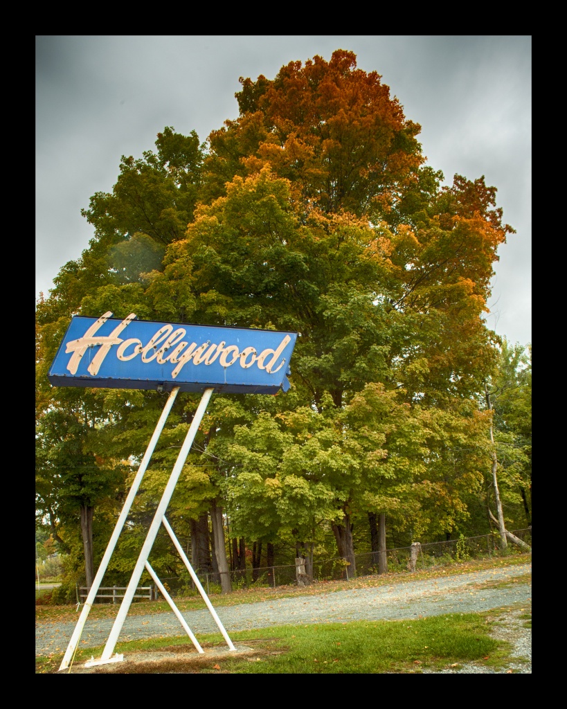 Hollywood Foliage. Nikon Df camera, Vivitar 19mm f/3.8 lens. Photo by Chuck Miller.