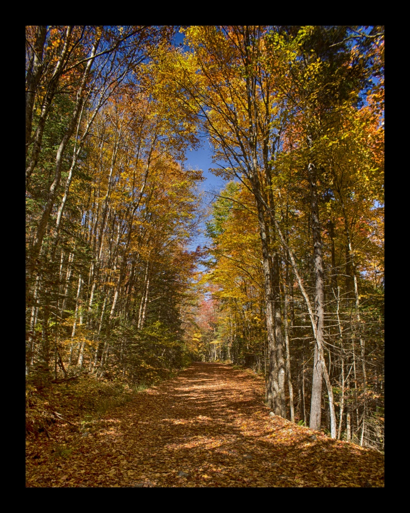 Gulf Brook Road. Nikon Df camera, Vivitar 19mm f/3.8 lens. Photo by Chuck Miller.