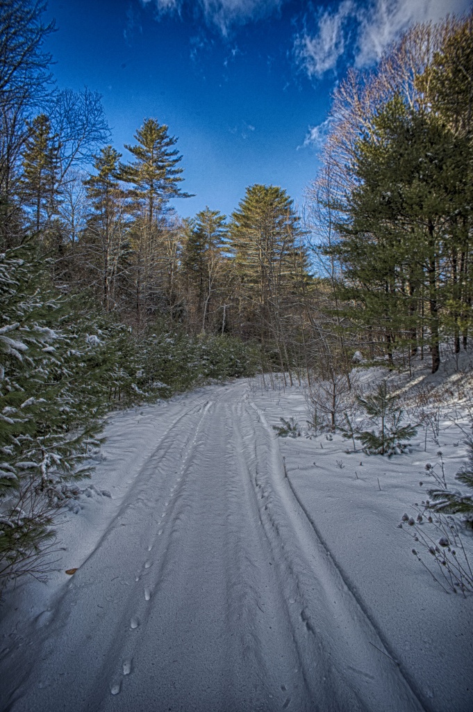 The Pathway. Nikon Df camera, Vivitar 19mm f/3.8 lens. Photo by Chuck Miller.