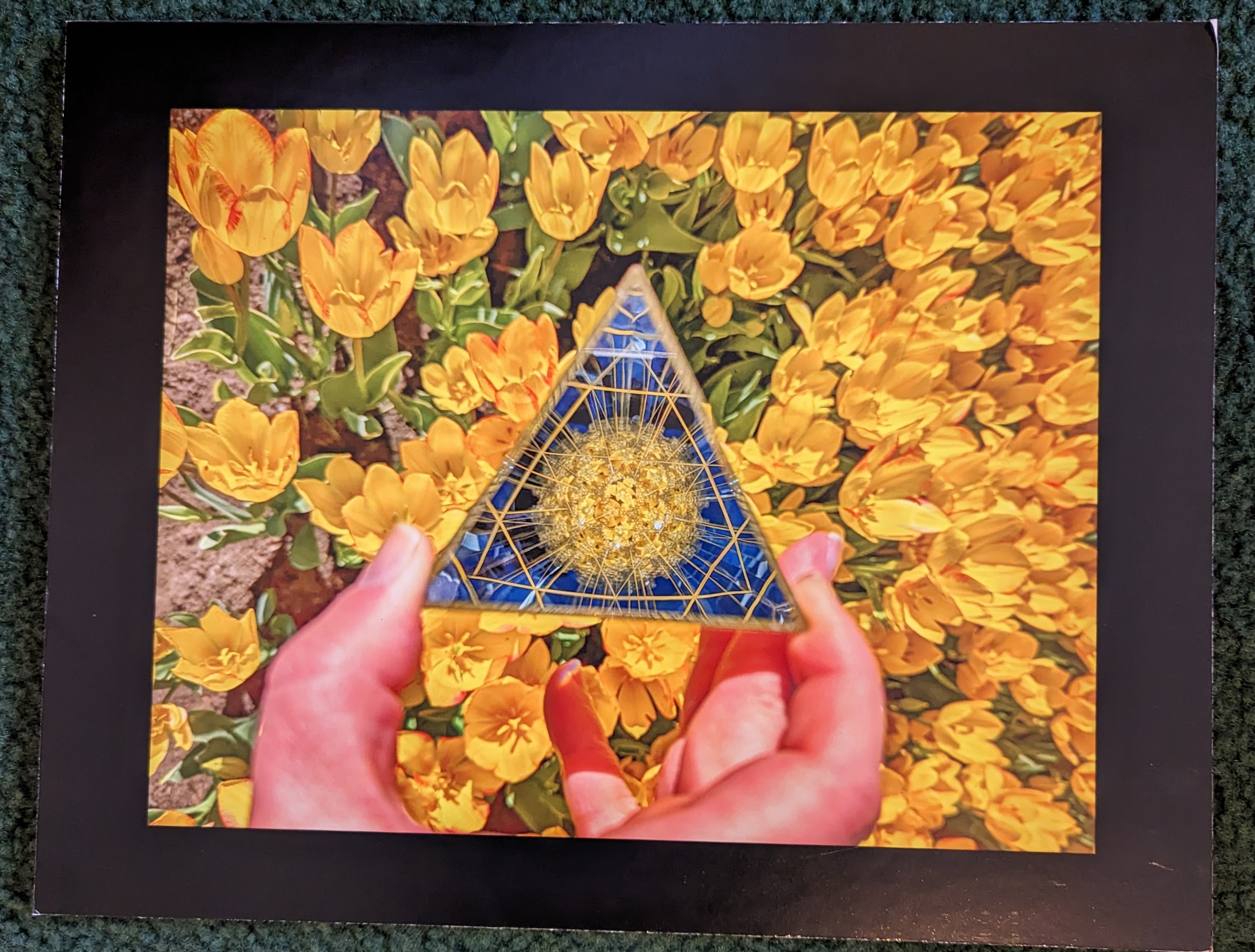 pxl_20231104_193642361