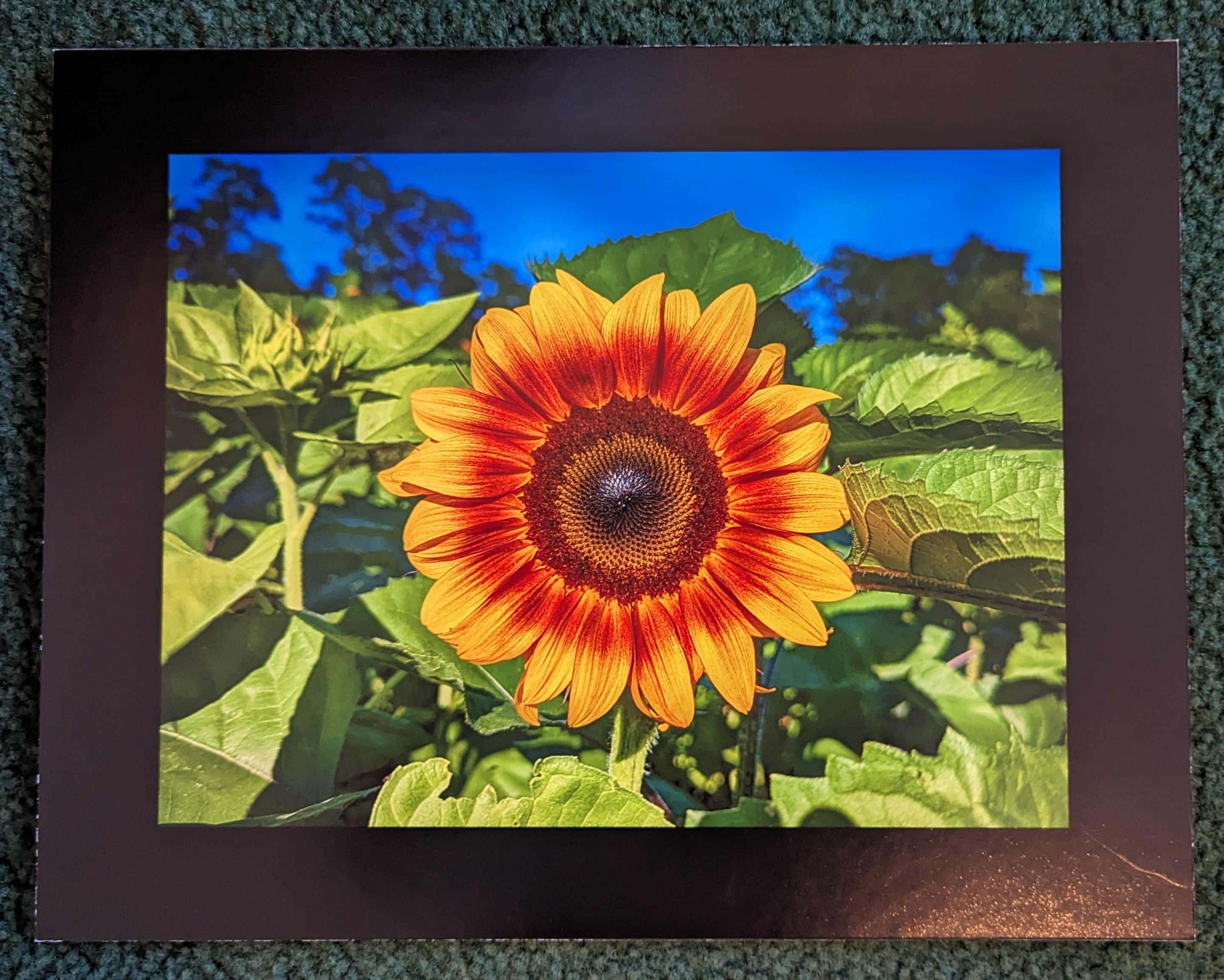 pxl_20231104_193757408