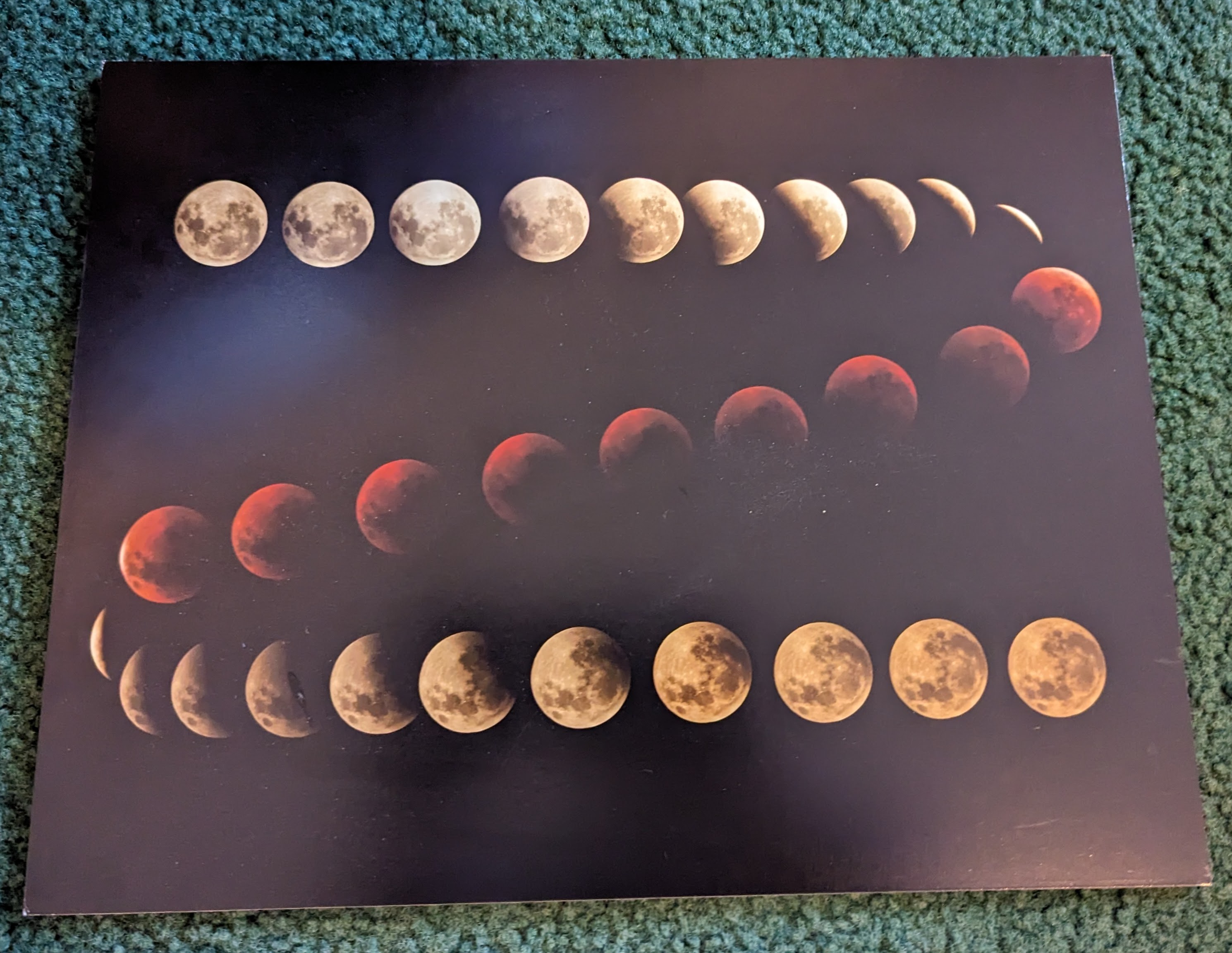 pxl_20231104_193807296