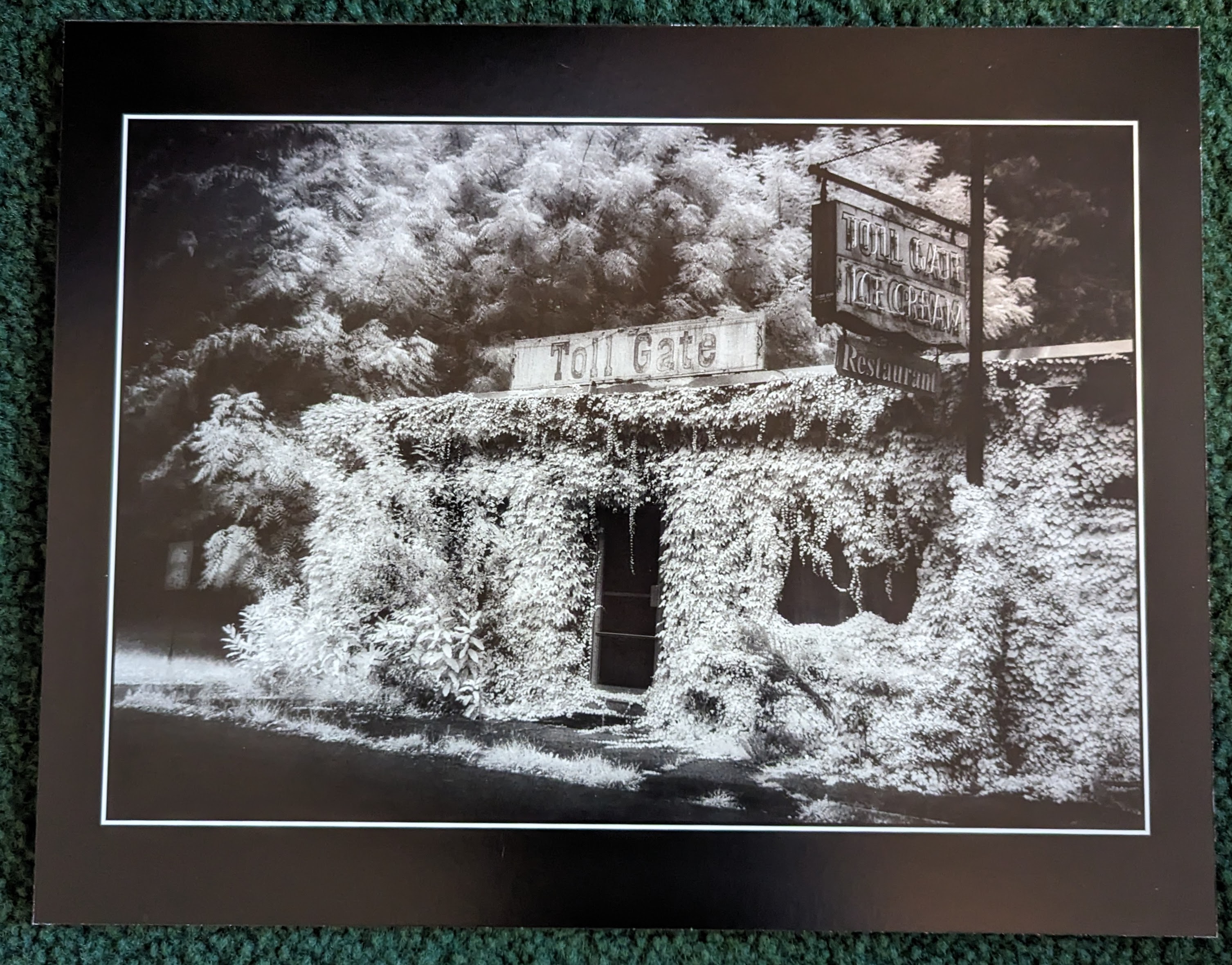 pxl_20231104_193946863